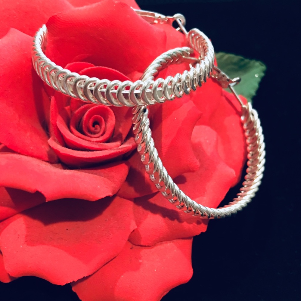 NWOT Silver Circle Hoop LadiesEarrings ❤️